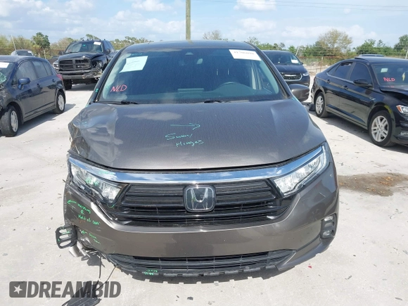 2022 Honda Odyssey EX-L with VIN 5FNRL6H77NB031502, listed as a IAAI auction lot 41706098 with 57,074 mi miles and . Bid and sale history available at DreamBid. Image 12.