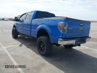 2013 Ford F-150 XL with VIN 1FTFW1ET4DKD65115, listed as a IAAI auction lot 41865210 with 133,302 mi miles. Bid and sale history available at carsss.com. Image 3.