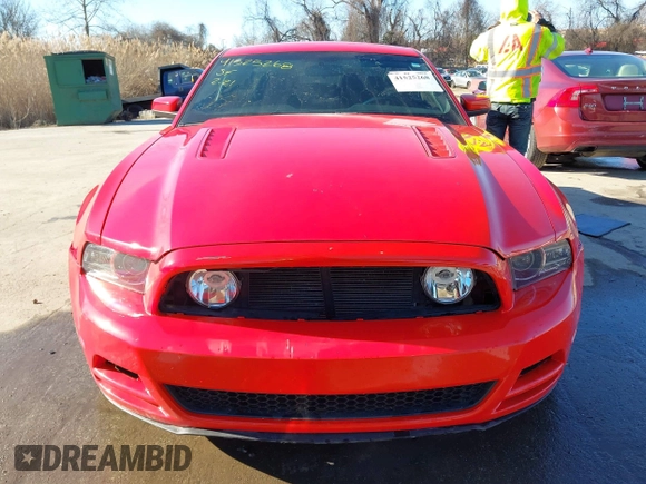 2013 Ford Mustang GT with VIN 1ZVBP8CFXD5215667, listed as a IAAI auction lot 41525268 with 129,561 mi miles and . Bid and sale history available at DreamBid. Image 12.