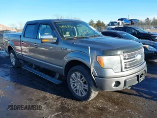 2009 Ford F-150 XL with VIN 1FTPW14VX9FA67580, listed as a IAAI auction lot 41567442 with 171,122 mi miles and . Bid and sale history available at DreamBid. Image 1.