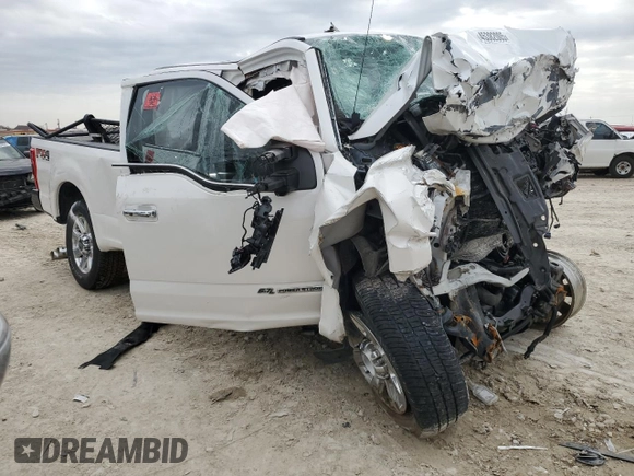 2019 Ford Super Duty F-250 SRW XL with VIN 1FT7W2BT9KEF77020, listed as a Copart auction lot 45382005 with 0 mi miles and Salvage Title. Bid and sale history available at carsss.com. Image 4.