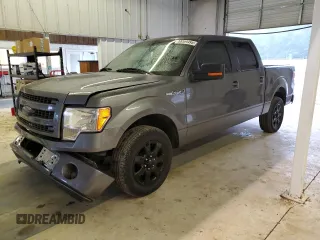 2013 Ford F-150 XL with VIN 1FTFW1CF9DKF08119, listed as a Copart auction lot 58594495 with 235,154 mi miles and Salvage title. Bid and sale history available at DreamBid. Image 1.