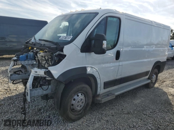 2023 Ram ProMaster Cargo with VIN 3C6LRVVG9PE551204, listed as a Copart auction lot 49501805 with 28,831 mi miles and Salvage Title. Bid and sale history available at DreamBid. Image 1.