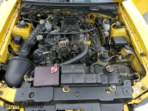 1999 Ford Mustang GT with VIN 1FAFP42X3XF122517, listed as a Copart auction lot 43313095 with 0 mi miles and Salvage Title. Bid and sale history available at carsss.com. Image 11.