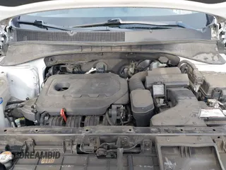 2016 Kia Sorento LX with VIN 5XYPG4A38GG173926, listed as a IAAI auction lot 41921254 with 1 mi miles. Bid and sale history available at carsss.com. Image 10.
