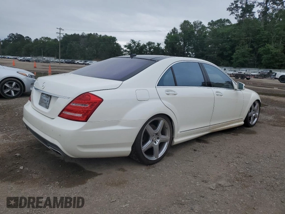 2010 Mercedes-Benz S 550 with VIN WDDNG7BB6AA332065, listed as a Copart auction lot 55071685 with 209,325 mi miles and Salvage Title. Bid and sale history available at DreamBid. Image 3.