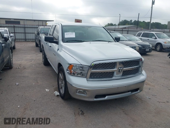 2010 Dodge 1500 SLT with VIN 1D7RB1GP0AS141530, listed as a IAAI auction lot 41879543 with 282,130 mi miles. Bid and sale history available at carsss.com. Image 1.