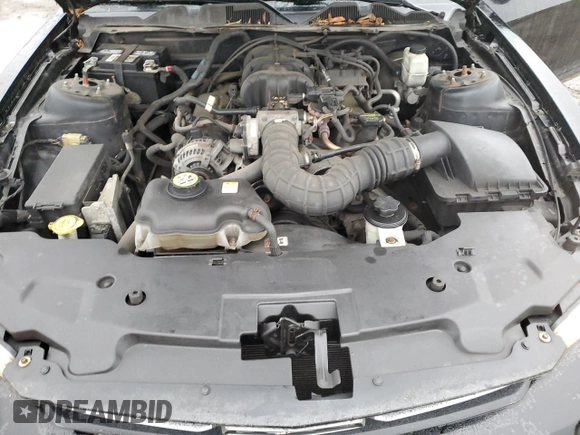 2010 Ford Mustang V6 with VIN 1ZVBP8AN3A5112855, listed as a Copart auction lot 49824275 with 161,778 mi miles and Salvage Title. Bid and sale history available at DreamBid. Image 12.
