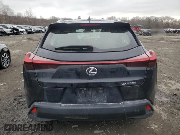2020 Lexus UX 250h с VIN JTHX9JBH8L2034207, выставлен на аукционе Copart как лот 46160515 с пробегом 79 445 миль миль и Списание • Salvage title. История ставок и продаж доступна на DreamBid. Изображение 6.