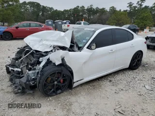2019 Alfa Romeo Giulia with VIN ZARFAMAN2K7622835, listed as a Copart auction lot 45036085 with 0 mi miles and Salvage Title. Bid and sale history available at carsss.com. Image 1.