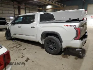2022 Toyota Tundra 1794 Edition with VIN 5TFMA5DB0NX009609, listed as a Copart auction lot 86996704 with 79,697 mi miles and Salvage title. Bid and sale history available at DreamBid. Image 2.