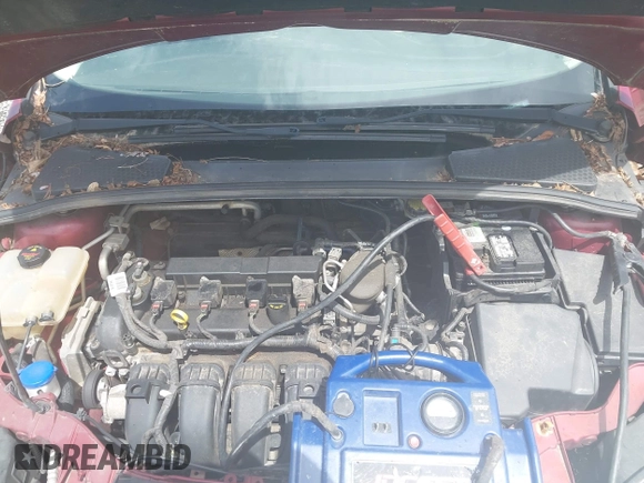 2014 Ford Focus SE with VIN 1FADP3F21EL447407, listed as a IAAI auction lot 42106972 with Not Provided miles and . Bid and sale history available at carsss.com. Image 10.