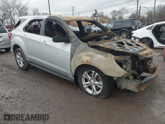 2013 Chevrolet Equinox LS with VIN 1GNALBEK1DZ118813, listed as a IAAI auction lot 41719360 with 0 mi miles. Bid and sale history available at carsss.com. Image 1.