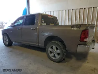 2010 Dodge Ram 1500 SLT with VIN 1D7RB1CP5AS180166, listed as a Copart auction lot 76396334 with 128,234 mi miles and Salvage Title. Bid and sale history available at carsss.com. Image 2.