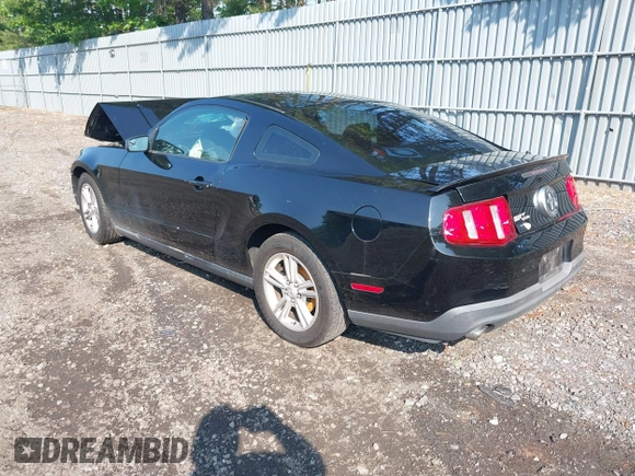 2012 Ford Mustang Premium with VIN 1ZVBP8AM1C5288023, listed as a IAAI auction lot 42486009 with 143,525 mi miles and . Bid and sale history available at DreamBid. Image 3.