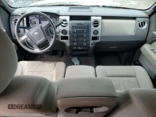2010 Ford F-150 XL z VIN 1FTFX1EV6AFA51162, wystawiony jako Copart lot #58796095 z przebiegiem 272 808 mil mil oraz Czysty tytuł • Clean title. Historia ofert i sprzedaży dostępna na DreamBid. Obrazek 8.