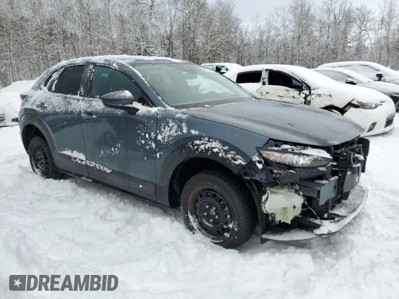 2021 Mazda CX-30 Premium with VIN 3MVDMBDL5MM261583, listed as a Copart auction lot 43079475 with 22,562 mi miles and Clean Title. Bid and sale history available at carsss.com. Image 4.