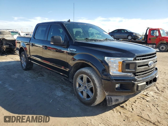 2020 Ford F-150 XL with VIN 1FTEW1CP0LFB27674, listed as a Copart auction lot 41801335 with 0 mi miles and Non Repairable. Bid and sale history available at carsss.com. Image 4.