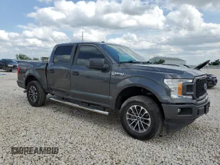 2019 Ford F-150 XL with VIN 1FTEW1CP3KKD25879, listed as a Copart auction lot 54385755 with 146,248 mi miles and Salvage title. Bid and sale history available at DreamBid. Image 4.