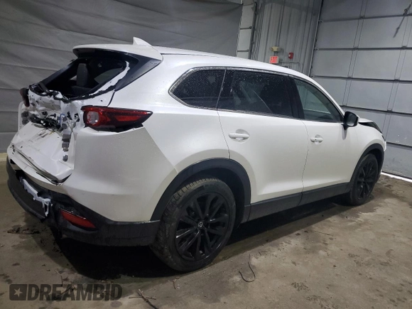 2023 Mazda CX-9 Touring Plus with VIN JM3TCBAY1P0643835, listed as a Copart auction lot 55846885 with 43,420 mi miles and Salvage title. Bid and sale history available at DreamBid. Image 3.