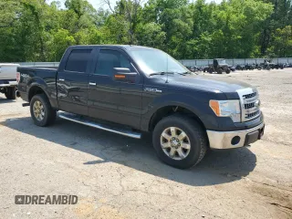 2013 Ford F-150 XL with VIN 1FTFW1EF7DKE74291, listed as a Copart auction lot 53245535 with 175,088 mi miles and Salvage Title. Bid and sale history available at carsss.com. Image 4.