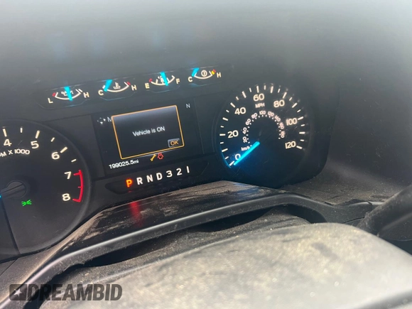 2017 Ford F-150 XL z VIN 1FTEX1E83HFA54391, wystawiony jako Copart lot #49659815 z przebiegiem 199 000 mil mil oraz Czysty tytuł • Clean title. Historia ofert i sprzedaży dostępna na DreamBid. Obrazek 8.