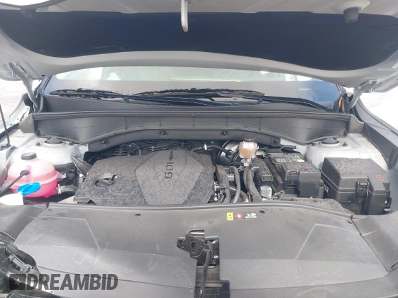 2024 Kia Sorento S with VIN 5XYRL4JC5RG278804, listed as a IAAI auction lot 42170947 with 12,709 mi miles and . Bid and sale history available at DreamBid. Image 10.