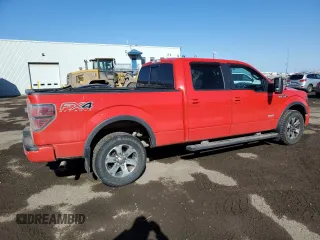 2013 Ford F-150 XL with VIN 1FTFW1ET5DFD18894, listed as a Copart auction lot 49705005 with 232,384 mi miles and Salvage Title. Bid and sale history available at carsss.com. Image 3.