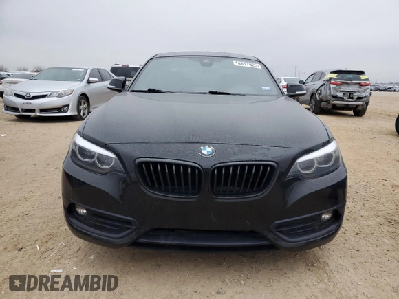 2020 BMW 2 Series 230i with VIN WBA2J1C09L7E60485, listed as a Copart auction lot 44817925 with 53,159 mi miles and Clean Title. Bid and sale history available at carsss.com. Image 5.