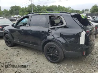 2024 Kia Telluride SX X-Line with VIN 5XYP5DGC1RG494352, listed as a Copart auction lot 58260515 with 25,538 mi miles and Salvage title. Bid and sale history available at DreamBid. Image 2.