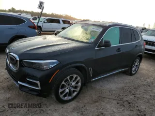 2022 BMW X5 sDrive40i with VIN 5UXCR4C09N9K62087, listed as a Copart auction lot 48773523 with Not Provided miles. Bid and sale history available at carsss.com. Image 1.