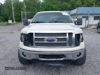 2009 Ford F-150 XL с VIN 1FTPW14VX9KB41670, выставлен на аукционе IAAI как лот 42246163 с пробегом 214 499 миль миль и . История ставок и продаж доступна на DreamBid. Изображение 13.
