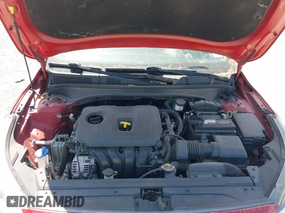 2019 Kia Forte S with VIN 3KPF34AD8KE028617, listed as a IAAI auction lot 41857642 with 101,171 mi miles. Bid and sale history available at carsss.com. Image 10.