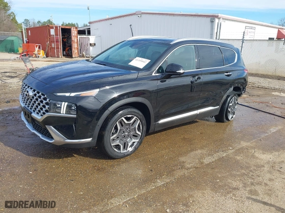 2021 Hyundai Santa Fe Limited with VIN 5NMS44AL3MH317127, listed as a IAAI auction lot 41355042 with 46,790 mi miles. Bid and sale history available at carsss.com. Image 18.
