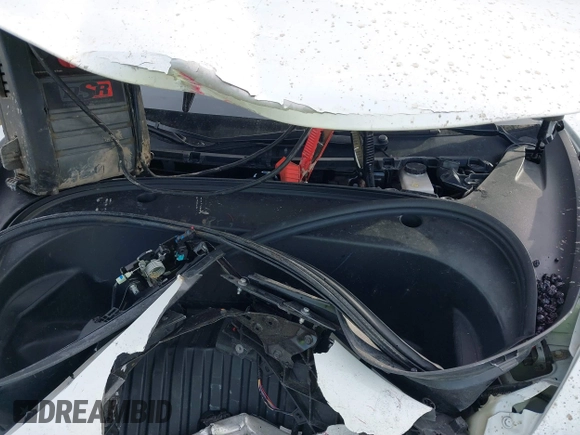 2021 Tesla Model 3 Long Range with VIN 5YJ3E1EB6MF094309, listed as a IAAI auction lot 41651475 with Not Provided miles. Bid and sale history available at carsss.com. Image 10.