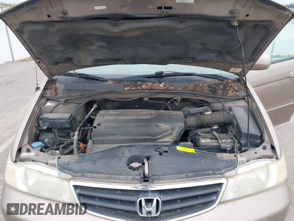 2004 Honda Odyssey EX-L with VIN 5FNRL18744B034830, listed as a IAAI auction lot 42052008 with 182,178 mi miles and . Bid and sale history available at DreamBid. Image 10.