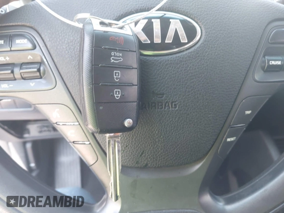2016 Kia Forte LX z VIN KNAFK5A8XG5572550, wystawiony jako IAAI lot #42314657 z przebiegiem 113 265 mil mil oraz . Historia ofert i sprzedaży dostępna na DreamBid. Obrazek 11.