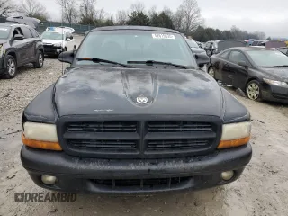 1999 Dodge Dakota SLT with VIN 1B7GL22X0XS275846, listed as a Copart auction lot 42619635 with 176,527 mi miles and Salvage Title. Bid and sale history available at carsss.com. Image 5.