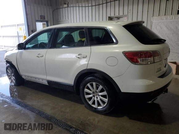 2009 Mazda CX-9 Touring with VIN JM3TB38V990174727, listed as a Copart auction lot 54145625 with 161,211 mi miles and Salvage Title. Bid and sale history available at DreamBid. Image 2.