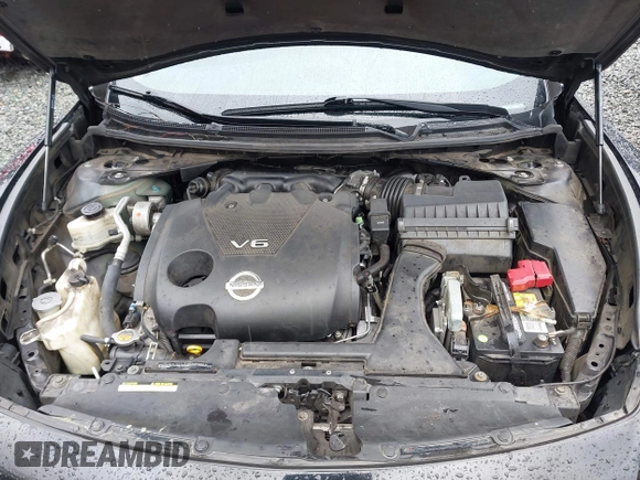2009 Nissan Maxima SV with VIN 1N4AA51E39C856967, listed as a IAAI auction lot 41919510 with 231,933 mi miles and . Bid and sale history available at DreamBid. Image 10.