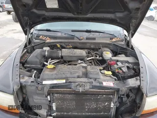 2004 Dodge Dakota Sport with VIN 1D7HL38N24S768283, listed as a IAAI auction lot 41635910 with 328,505 mi miles. Bid and sale history available at carsss.com. Image 10.