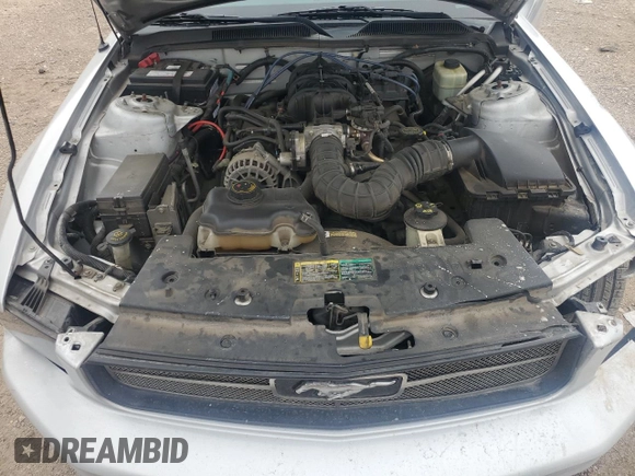 2005 Ford Mustang Deluxe with VIN 1ZVHT80N955249439, listed as a Copart auction lot 55536255 with 118,984 mi miles and Salvage title. Bid and sale history available at DreamBid. Image 11.