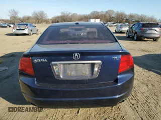 2006 Acura TL with VIN 19UUA66296A014252, listed as a Copart auction lot 48910725 with 259,371 mi miles and Salvage Title. Bid and sale history available at carsss.com. Image 6.