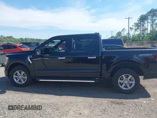 2023 Ford F-150 XL with VIN 1FTEW1C54PFB84125, listed as a IAAI auction lot 42045019 with 43,376 mi miles. Bid and sale history available at carsss.com. Image 14.