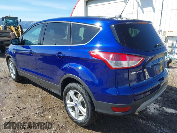 2014 Ford Escape SE with VIN 1FMCU9G99EUD02098, listed as a IAAI auction lot 41814969 with 210,218 mi miles and . Bid and sale history available at DreamBid. Image 3.