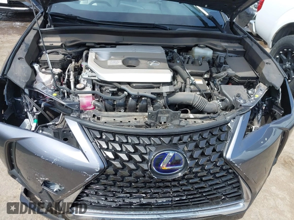 2021 Lexus UX 250h with VIN JTHP9JBH1M2040593, listed as a IAAI auction lot 42024493 with 33,394 mi miles and . Bid and sale history available at DreamBid. Image 10.