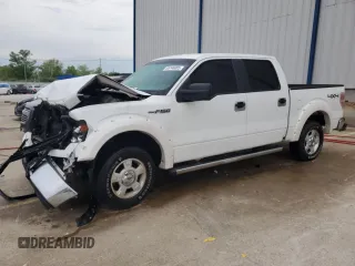 2009 Ford F-150 XL with VIN 1FTRW14869FA71810, listed as a Copart auction lot 55146085 with 191,405 mi miles and Non repairable. Bid and sale history available at DreamBid. Image 1.