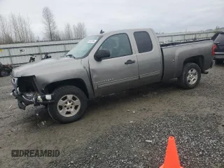 2009 Chevrolet Silverado 1500 Work Truck with VIN 1GCEK19C69Z214938, listed as a Copart auction lot 84457454 with 156,114 mi miles and Salvage Title. Bid and sale history available at DreamBid. Image 1.