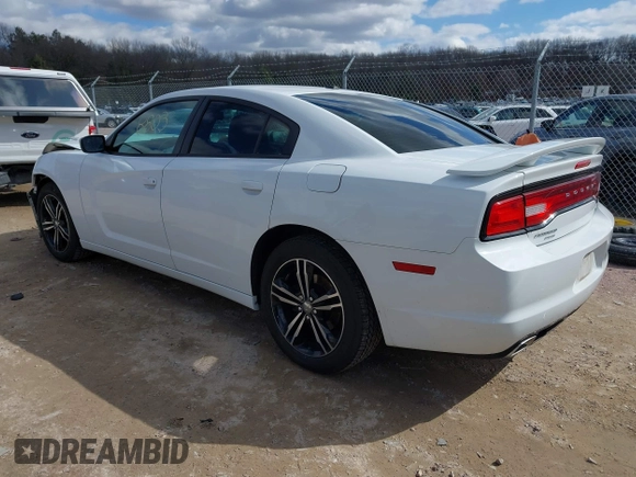 2014 Dodge Charger SXT with VIN 2C3CDXJG9EH255078, listed as a IAAI auction lot 41880363 with 124,864 mi miles. Bid and sale history available at carsss.com. Image 3.
