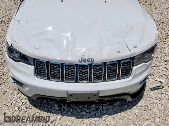 2019 Jeep Grand Cherokee Laredo E with VIN 1C4RJEAG0KC603870, listed as a Copart auction lot 60142575 with Not provided miles and Salvage title. Bid and sale history available at DreamBid. Image 11.